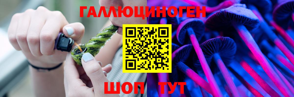 Псилоцибиновые грибы Cubensis Биробиджан